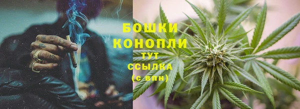 метадон Инта