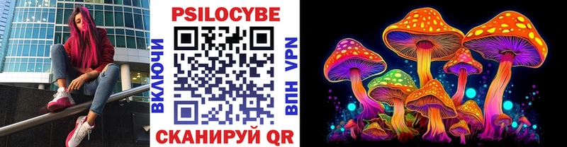 наркошоп  Завитинск  Галлюциногенные грибы Psilocybine cubensis 
